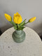 Holland tulp bundel Sally x3 25cm geel