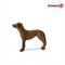 schleich FARM WORLD - Rhodesische ridgeback - 13895
