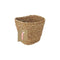 Veelzijdige mand Privilege Bruin vlechtwerk Rechthoekig 13 x 10 x 11 cm (36 Stuks)