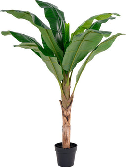 House Nordic Kunstplant Bananen Palm
