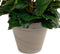 Mica Decorations Begonia - Kunstplant - 37 cm - Zalmroze