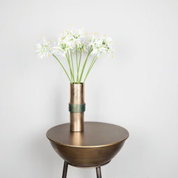 PTMD Garden Flower crème spinlelie