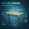 Flowsense Zit Sta Bureau - Elektrisch Verstelbaar - 4 Geheugen Standen - 160 x 60 cm - Grijs Eiken