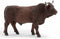 dieren Papo Salers 13 x 5,5 x 8,6 cm Stier