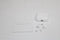 Apple AirPods 4 - Draadloze oordopjes - USB-C oplaadcase - Wit