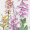 Thea Gouverneur - Borduurpakket met telpatroon - 554A - Voorgesorteerde DMC Garens - Amerikaanse Wilde Bloemen - Aida - 50 cm x 67 cm - DIY Kit