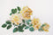 Thea Gouverneur - Borduurpakket met telpatroon - 429A - Voorgesorteerde DMC Garens - Vrede Roos - Aida - 44 cm x 65 cm - DIY Kit