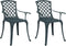 vidaXL - Tuinstoelen - 2 - st - gietaluminium - groen