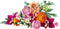 LEGO Botanicals - Roze boeket - 15 bloemenstelen - (749 stuks)