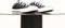 Converse Chuck Taylor All Star Sneakers Laag Kinderen - Black - Maat 34