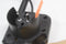 Powerplus POWEG62203 - Elektrische grasmaaier - 1000 W 320 mm maaibreedte - 30 L opvangbak