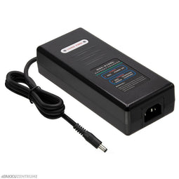 E-Bike charger Charger for Li-ion batteries 48V / 2A - DC plug