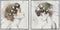 Schilderij DKD Home Decor Vrouw 100 x 4 x 100 cm (2 Stuks)