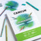Canson Graduate Kunstpapier 30 vel