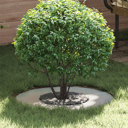 vidaXL - Platterring - Ø30/60 - cm - Gegalvaniseerd - Staal