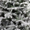 Top Trees Vancouver Kunstkerstboom - H215 x Ø145 cm - Frosted Green