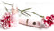 HighOnLove - The Minis Pleasure Collection