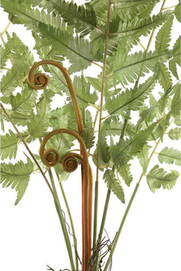 PTMD Fern Plant Varen Prikker - 55 x 34 x 68 cm - Groen