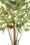 PTMD Fern Plant Varen Prikker - 55 x 34 x 68 cm - Groen