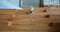 Cheerble Wicked Ball SE - Interactieve Zelfrollende Bal - 3 Modi LED-verlichting - Oranje