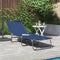 vidaXL - Vouwbare - Ligstoel - Draagbaar - Blauw - 600D - Oxford - Stof