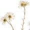 Emerald Kunstbloem Zijde bloem Daisy Spray - Polyester - Goud - 0 x 66 x 0 cm (BxHxD)
