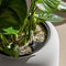 Lechuza Havalo 60 Basalt Grey