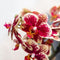 Geel rode phalaenopsis orchidee - Spain + Bee pot - potmaat Ø9cm -
