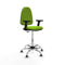 Piqueras y Crespo B2D05RT - Bureaustoel - Hoogteverstelbaar met armleuning - Pistache