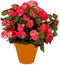 Zalmroze Begonia kunstplant met bloemen 37 cm in terracotta pot - Kunstplanten/nepplanten - Voor binnen