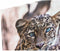 Schilderij DKD Home Decor Luipaard Koloniaal (50 x 1,8 x 70 cm)