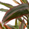 Decoratieve plant Dracaena Bruin Groen PVC 140 cm