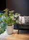 Capi Europe - Vaas elegant laag Groove NL - 34x46 - Zwart - Opening Ø27 - Bloempot voor binnen en buiten - Levenslang garantie - Breukbestendig - 100% Recyclebaar - CO2 Neutraal geproduceerd - KGVBL782