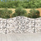 vidaXL - Schanskorven - 10 - st - gewelfd - 200x30x100/120 - cm - ijzer