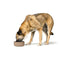 Voerbak voor honden Hunter OSBY Beige Keramisch 1,1 L