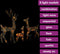 vidaXL - Kerstversiering - rendierfamilie - 300 - LED's - meerkleurig - acryl