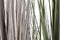 Decoratieve plant Home ESPRIT PVC Polyethyleen 45 x 45 x 150 cm (2 Stuks)