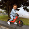 BERG Biky Mini Red Loopfiets - 10 inch - Magnesium frame - EVA+ banden - 2 tot 5 jaar - Rood