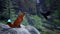 Spirit of the North 2- PlayStation 5