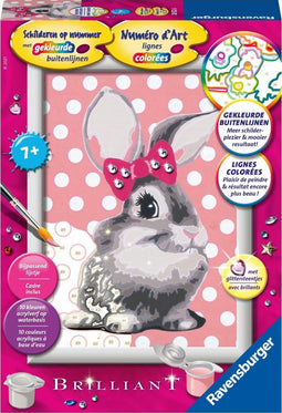 Schilderen Op Nummer - Konijn