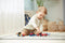 Stick-O City Voertuigenset - magnetisch speelgoed - 20 modellen - magneten speelgoed - baby blokken