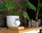 LYFE Planter 1.1 Zwevende Bloempot - Eiken / Wit