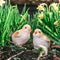Tuinfiguur broedende kip met kuikens | wit | 19 cm
