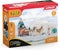 schleich WILD LIFE Antarctic Expedition - Speelfigurenset - Kinderspeelgoed voor Jongens en Meisjes - 3 tot 8 jaar - 42624