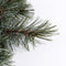 Triumph Tree Forest Frosted - Kerstkrans - Ø45 cm - Newgrowth Blue