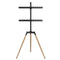 TV houder GEMBIRD TVS-65S-01