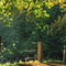 Customize it - Tuinschilderij morning mood 70x50cm