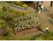 NOCH Deko-Minis 0013224 H0 set van 2 wijnranken Kant-en-klaar model
