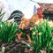 Farmwood Tuinbeeld Haan | 25 x 13 x 30 cm Bruin