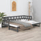 vidaXL - Slaapbank - uitschuifbaar - massief - grenenhout - grijs - 2x(90x200) - cm